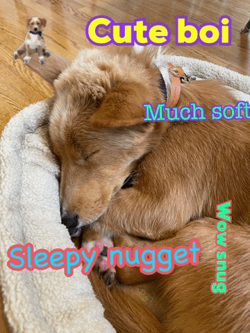 Moonspacedog GIF by hamlet