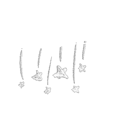 Star Sticker