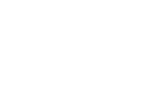 Asus Sticker