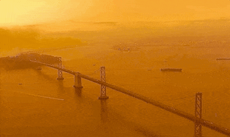 Golden Gate Bridge GIF by GIPHY News