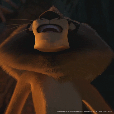 Ben Stiller Dancing GIF by DreamWorks Animation