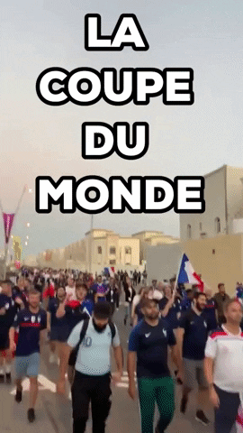 France Fans GIF by Storyful