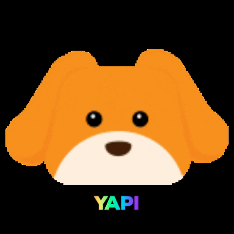 yapiapp  GIF