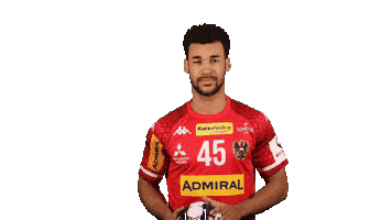 HandballAustria Sticker