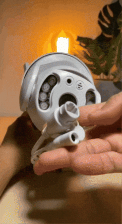 GIF animado