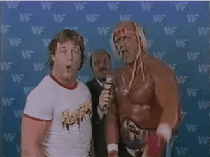 hulk hogan