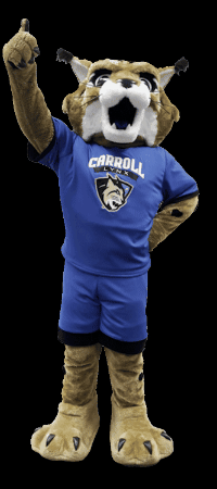 Lets Go Cat GIF by carrollcc