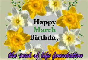 Give Happy Birthday GIF by The Seed of Life Foundation