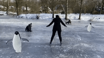 Ice Skating GIF