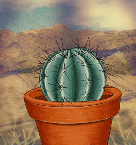 Animation Cactus GIF