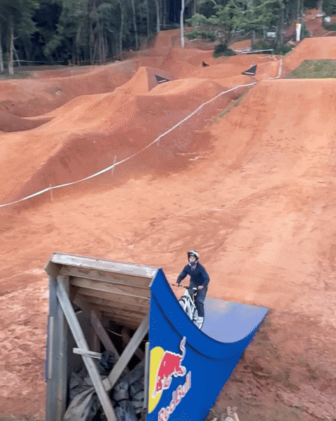 Red Bull Backflip GIF by YT Industries