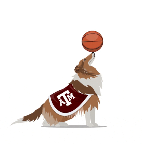 College Basketball Mascot GIF by SportsManias