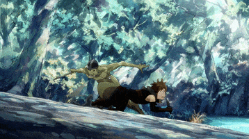 fight GIF by Funimation