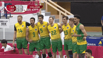 Show Off Look At Me GIF by Volleyball World