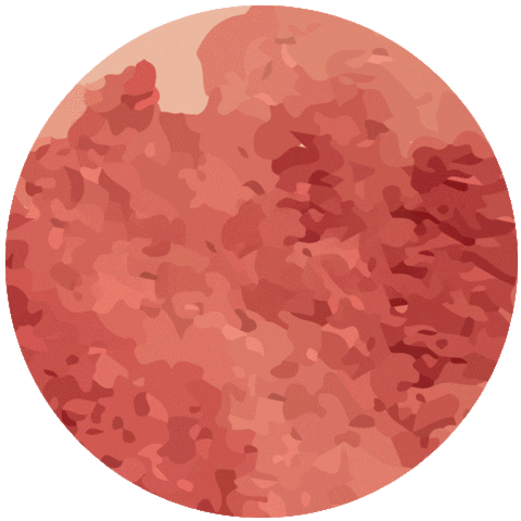 BIBO YOGA FACIAL Sticker