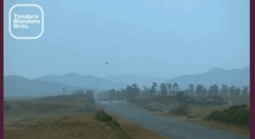 tmb  GIF