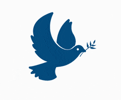 Die Holy Spirit GIF by Friedrich-Naumann-Stiftung