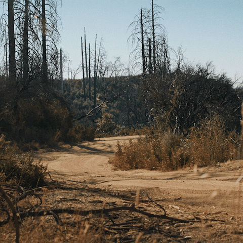 Drive Responsibly Electric Car GIF by Rivian
