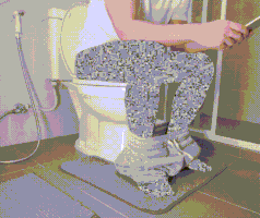 toilets browse GIF