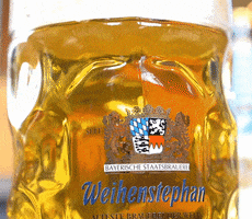 Beer Cheers GIF by Bayerische Staatsbrauerei Weihenstephan