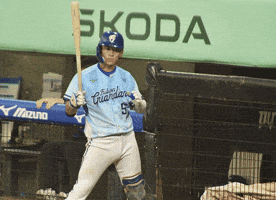 Baseball GIF