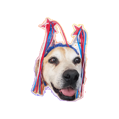 Los Adoptables A.C. Sticker