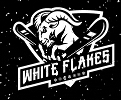 White Flakes Padel GIF