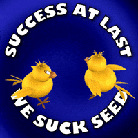 Chicks Success GIF