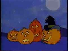Pumpkins meme gif