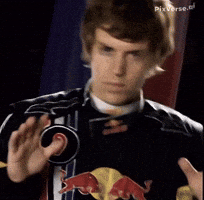 Formula 1 F1 GIF