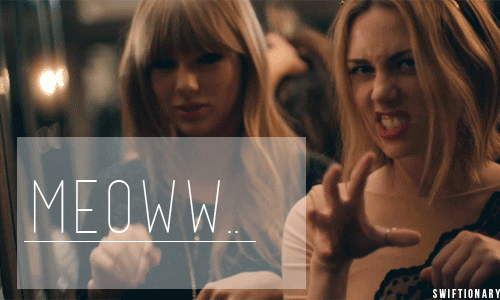 Taylor swift cat GIFs , Get the best GIF on GIPHY