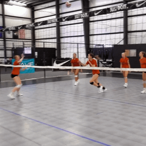 Jump Volleyball GIF by VertiMax