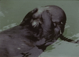 200.gif