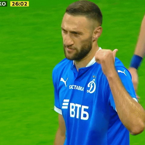 Football Футбол GIF by FC Dynamo Moscow