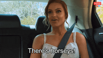 Horse Reaction GIF by Married At First Sight