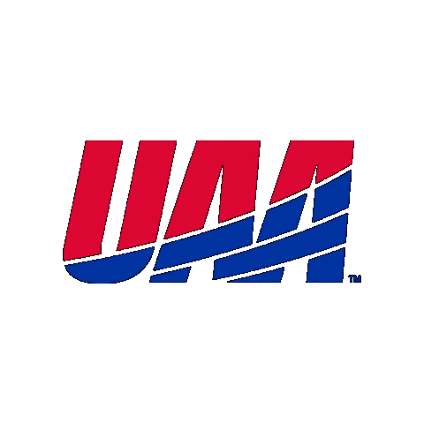 Division Iii D3 Sticker by uaa_sports