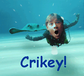 giphy.gif