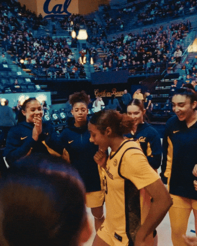 Gobears GIF by CALWBB