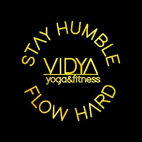 VidyaYogaAndFitness GIF