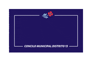 District 13 Sticker by Hugo for CD13