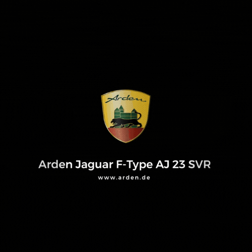 arden_tuning GIF