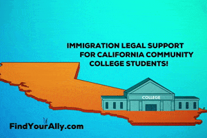 No One Is Illegal Immigration Law GIF by the_ILRC
