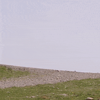 Rally Turkey GIF by Red Bull