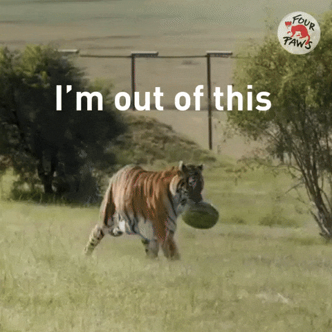 Out Of This No GIF by FOUR PAWS