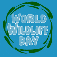 Wild Animals Wildlife GIF by INTO ACTION