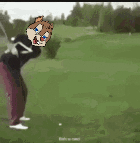 Fail What Just Happened GIF by ChipPunks