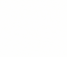 CICLI PUZONE SRL GIF