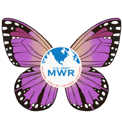 Dfmwr Sticker by FLW MWR - Army