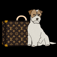Louis-vuitton-handbag GIFs - Get the best GIF on GIPHY