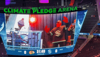 Hockey Nhl GIF